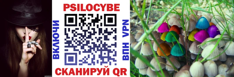 Галлюциногенные грибы Magic Shrooms Нижний Новгород