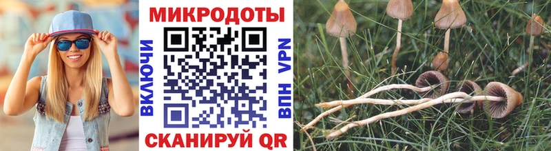 shop телеграм  Нижний Новгород  Галлюциногенные грибы мухоморы 