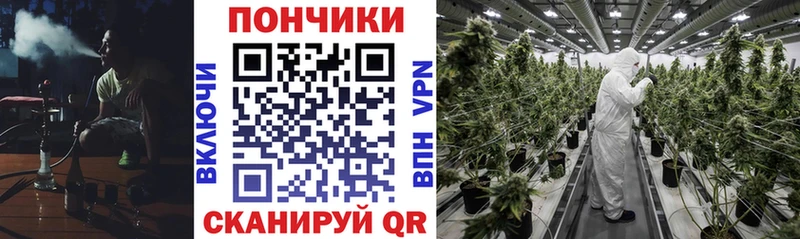 Шишки марихуана ГИДРОПОН  сколько стоит  Нижний Новгород 